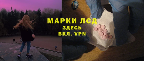 ПСИЛОЦИБИНОВЫЕ ГРИБЫ Арсеньев
