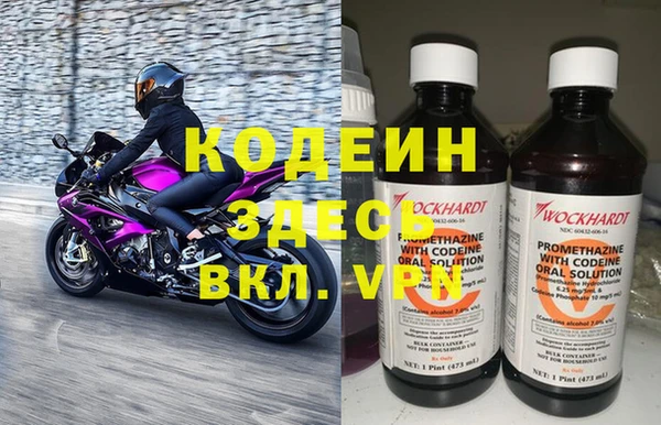 ПСИЛОЦИБИНОВЫЕ ГРИБЫ Арсеньев