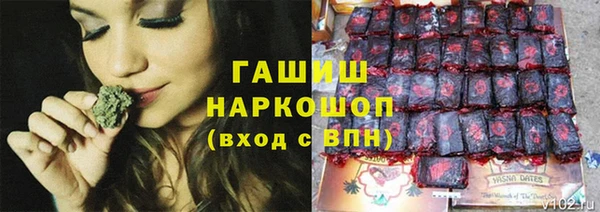 ПСИЛОЦИБИНОВЫЕ ГРИБЫ Арсеньев