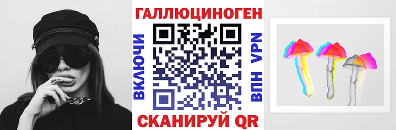 Галлюциногенные грибы Psilocybine cubensis Кореновск